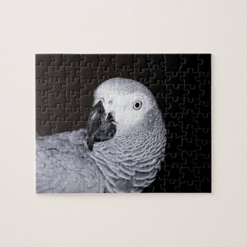 African Grey Parrot Puzzle