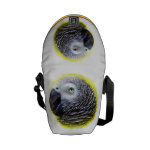 African Grey Parrot Realistic Painting Messenger Bag