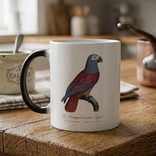 African Grey Parrot Red Factor Psittacus Erithacus Color Morph Mug