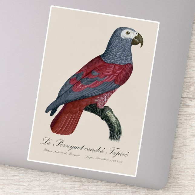African Grey Parrot Red Factor Psittacus Erithacus Sticker (African Grey Parrot Red Factor Psittacus Erithacus. Sticker)