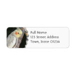 African Grey Parrot Return Address Label