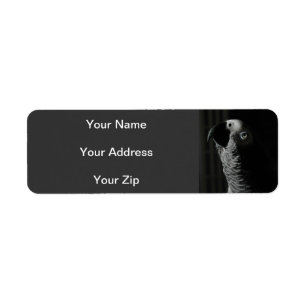 African Grey Parrot Return Address Labels
