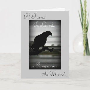African Grey Parrot Silhouette Sympathy Card