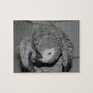 African Grey Parrot Silly Bird Jigsaw Puzzle