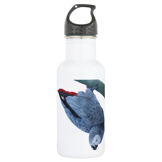 African grey parrot stainless steel water bottle (Front)