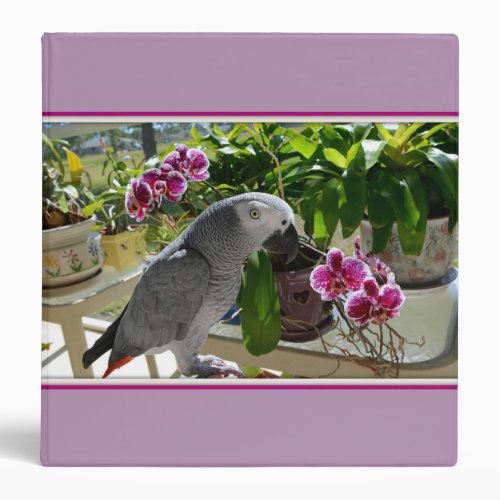 African Grey Parrot with Orchids Binder