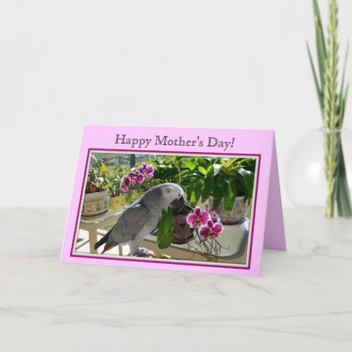 African Grey Parrot with Orchids Card
