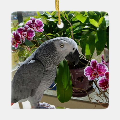 African Grey Parrot with Orchids Ceramic Ornament