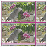 African Grey Parrot with Orchids Fabric