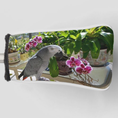 African Grey Parrot with Orchids Golf Head Cover