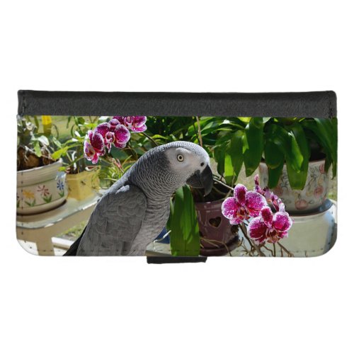 African Grey Parrot with Orchids iPhone 87 Wallet Case