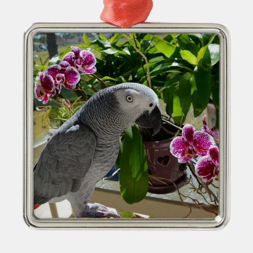 African Grey Parrot with Orchids Metal Ornament