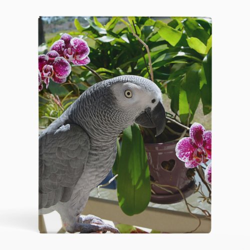 African Grey Parrot with Orchids Mini Binder