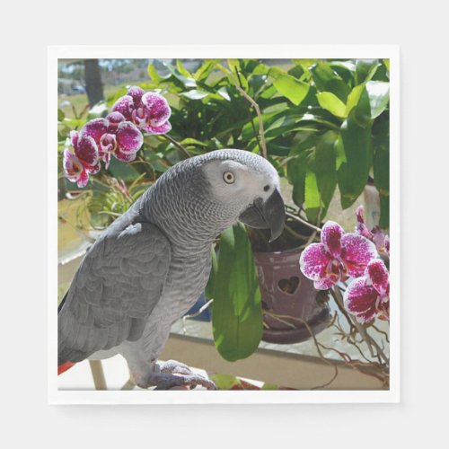 African Grey Parrot with Orchids Napkins