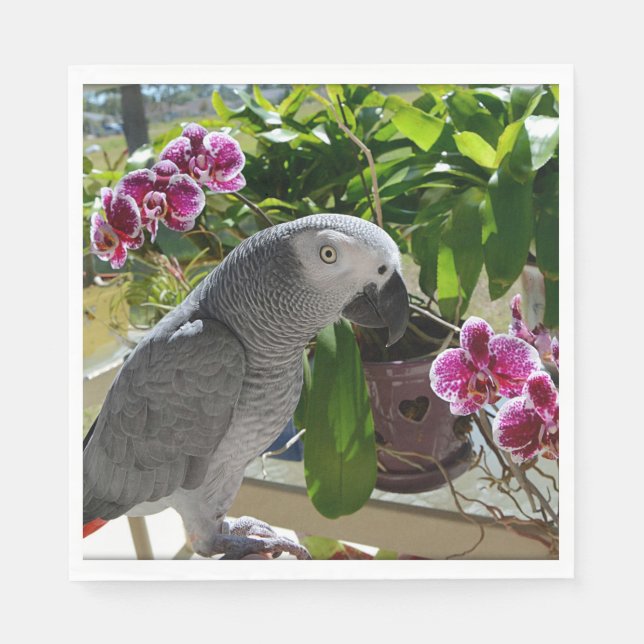 African Grey Parrot with Orchids Napkins (Front)