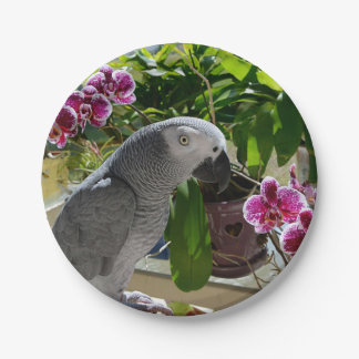African Grey Parrot with Orchids Paper Plates