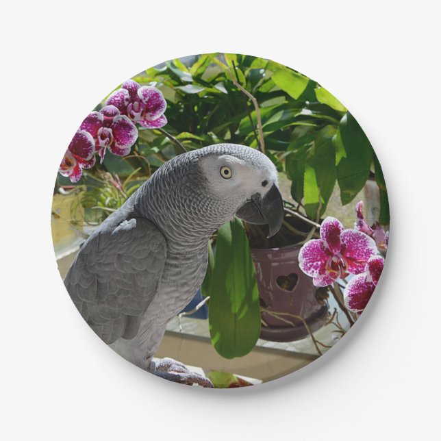 African Grey Parrot with Orchids Paper Plates (Front)