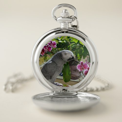 African Grey Parrot with Orchids Pocket Watch