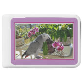 African Grey Parrot with Orchids Power Bank (Front)