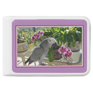 African Grey Parrot with Orchids Power Bank