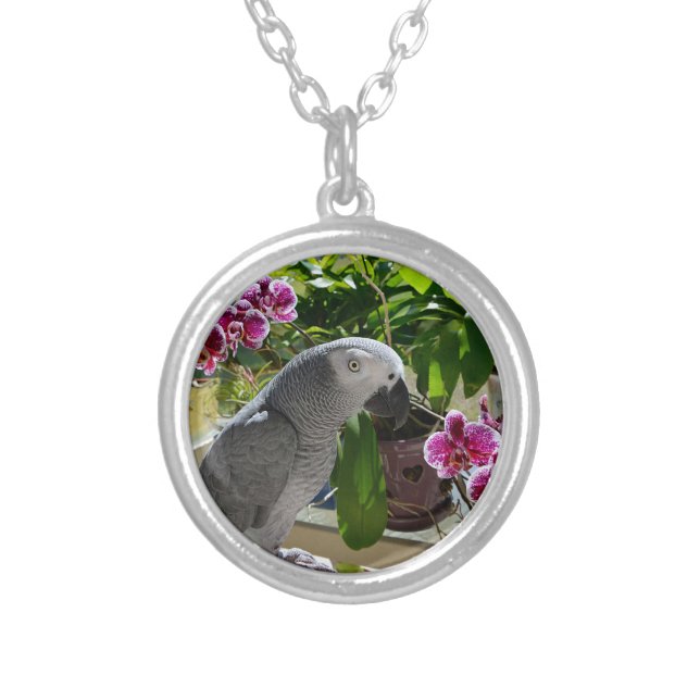 African Grey Parrot with Orchids Silver Plated Necklace (Front)