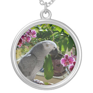 African Grey Parrot with Orchids Silver Plated Necklace