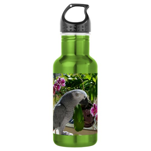 African Grey Parrot with Orchids Stainless Steel Water Bottle