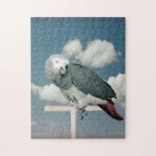 African Grey Parrot with sky puzzel Jigsaw Puzzle