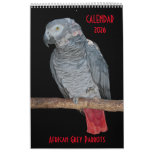 African Grey Parrots Calendar