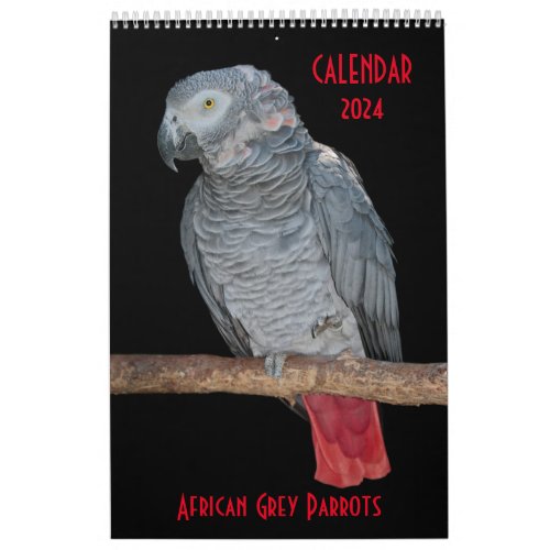 African Grey Parrots Calendar 2024