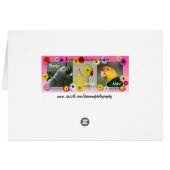 African Grey Pool Party Cards (Back Horizontal)