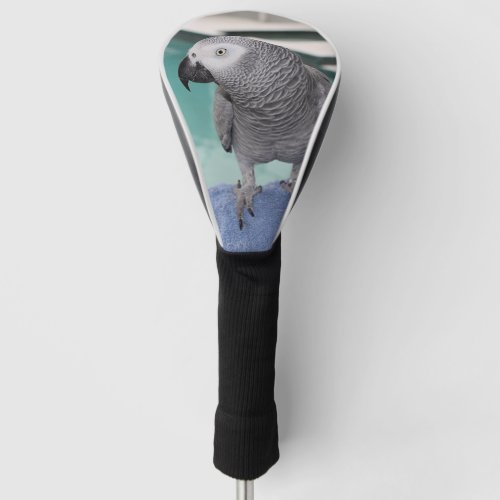 African Grey Pool Party Golf Head Cover