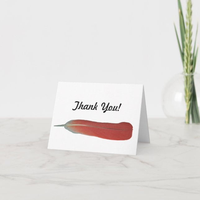 African Grey Red Feather Thank You Notes (Front)