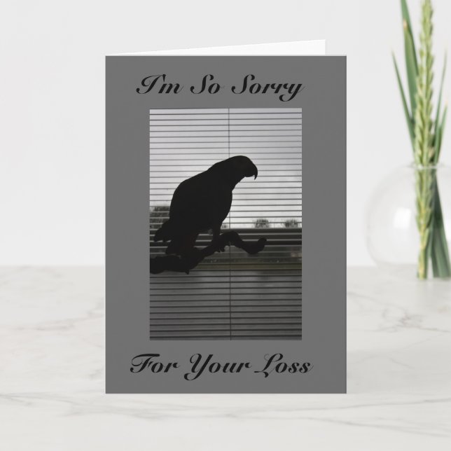 African Grey Silhouette Sympathy Greeting Card (Front)