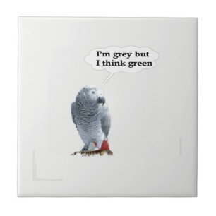 African Grey Thinks Green Tile