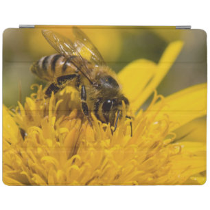 African Honey Bee With Pollen Sacs Feeding iPad Smart Cover