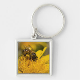 African Honey Bee With Pollen Sacs Feeding Keychain