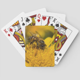 African Honey Bee With Pollen Sacs Feeding Poker Cards