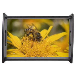 African Honey Bee With Pollen Sacs Feeding Serving Tray
