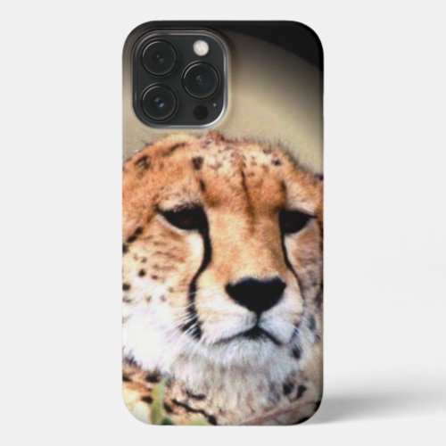African Kenya Big Cats  iPhone 13 Pro Max Case