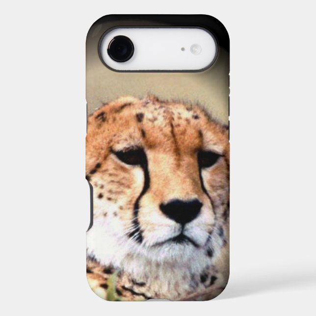 African Kenya Big Cats  iPhone Case (Back)