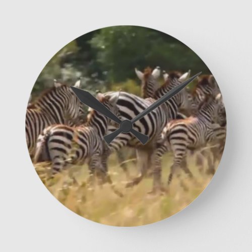 African Kenya Zebra  Round Clock