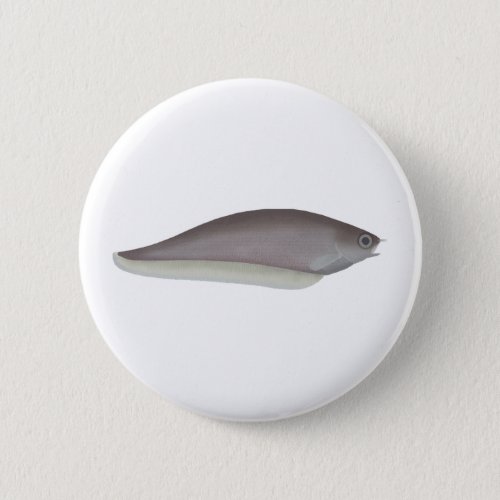 African Knifefish Button