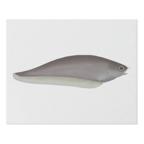 African Knifefish Faux Canvas Print
