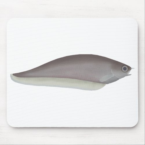 African Knifefish Mouse Pad