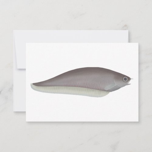 African Knifefish Note Card