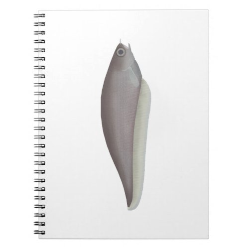 African Knifefish Notebook