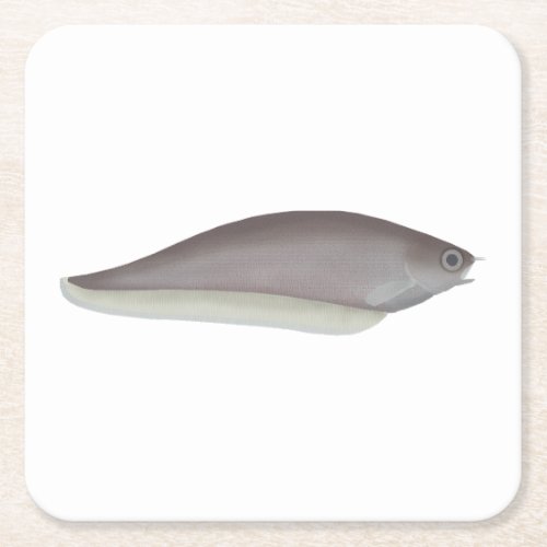 African Knifefish Square Paper Coaster