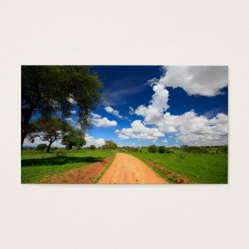 African landscape business card