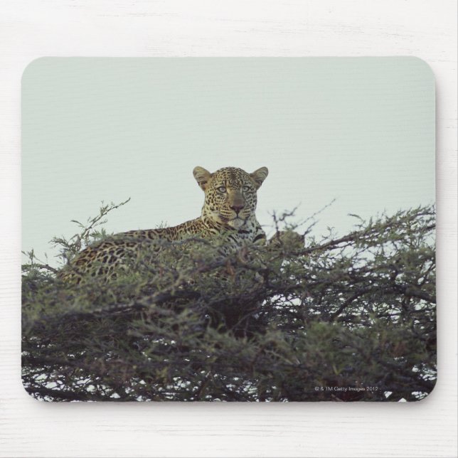 African leopard mouse pad (Front)